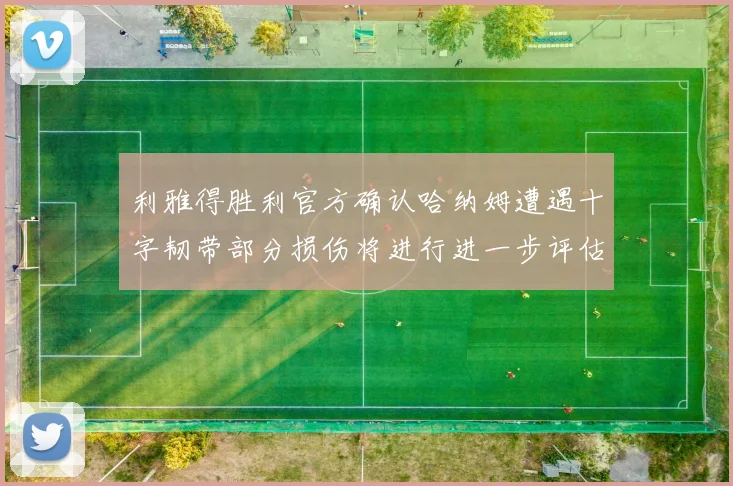 利雅得胜利官方确认哈纳姆遭遇十字韧带部分损伤将进行进一步评估