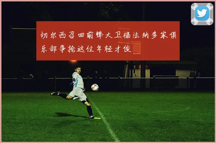 切尔西召回前锋大卫福法纳多家俱乐部争抢这位年轻才俊